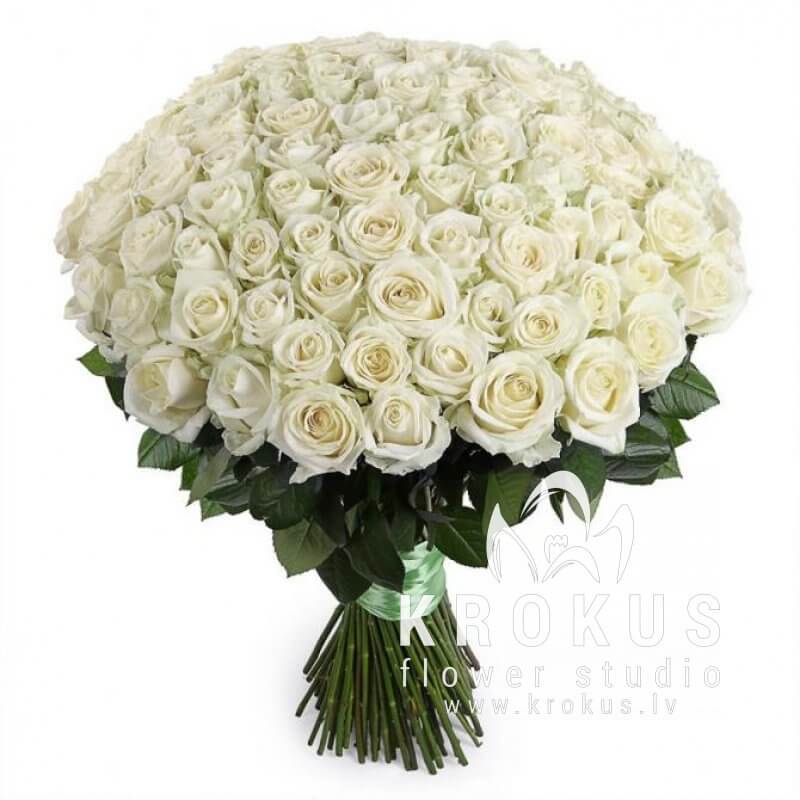 White Roses