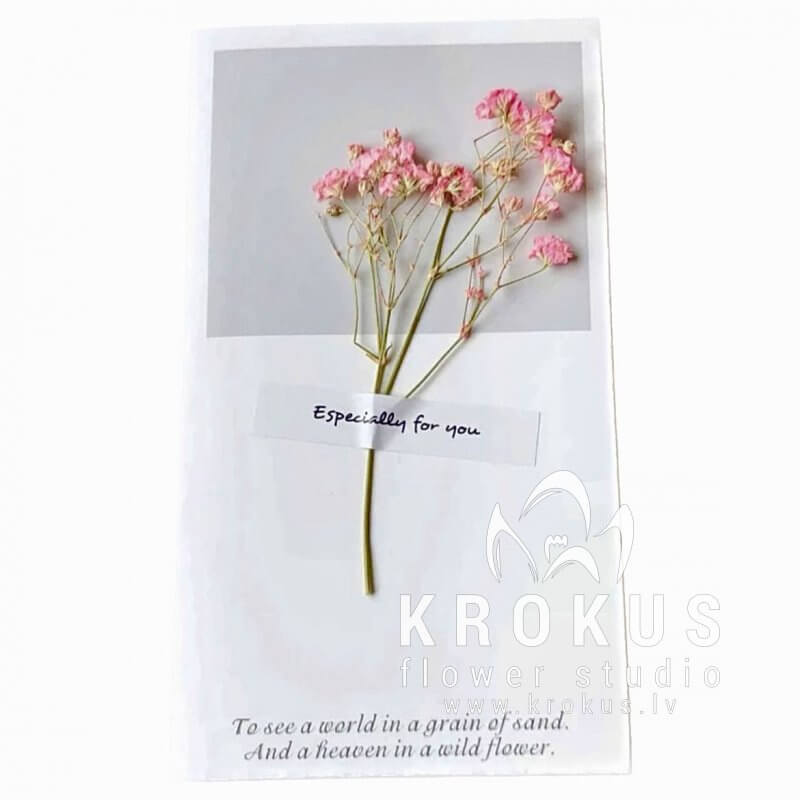 Gift Pink 9x16 and any fresh flowers with delivery in Riga in our online flower shop KROKUS