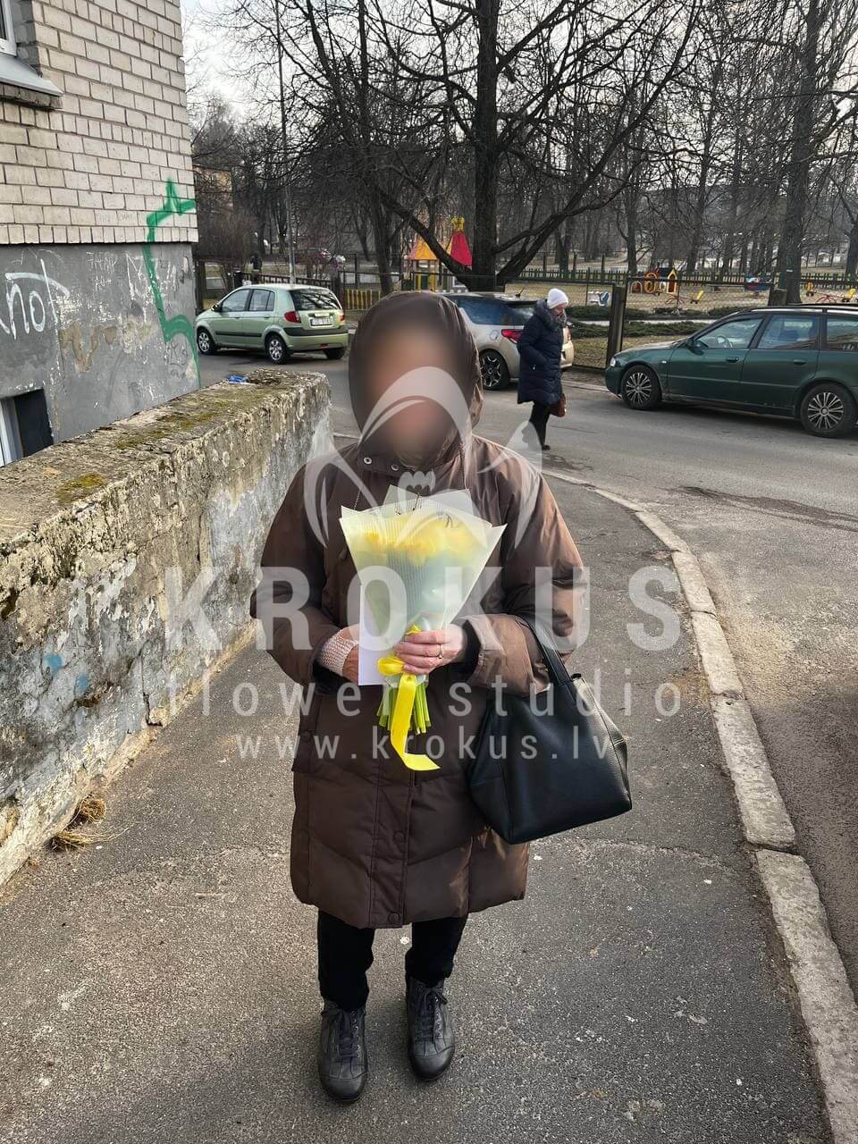 Deliver flowers to Rīga (daffodil)