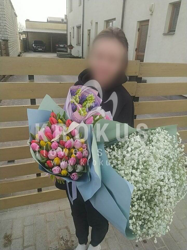 Ziedu piegāde Latvia Liepāja (tulpeshiacintepistācijagypsophila (ģipsene))