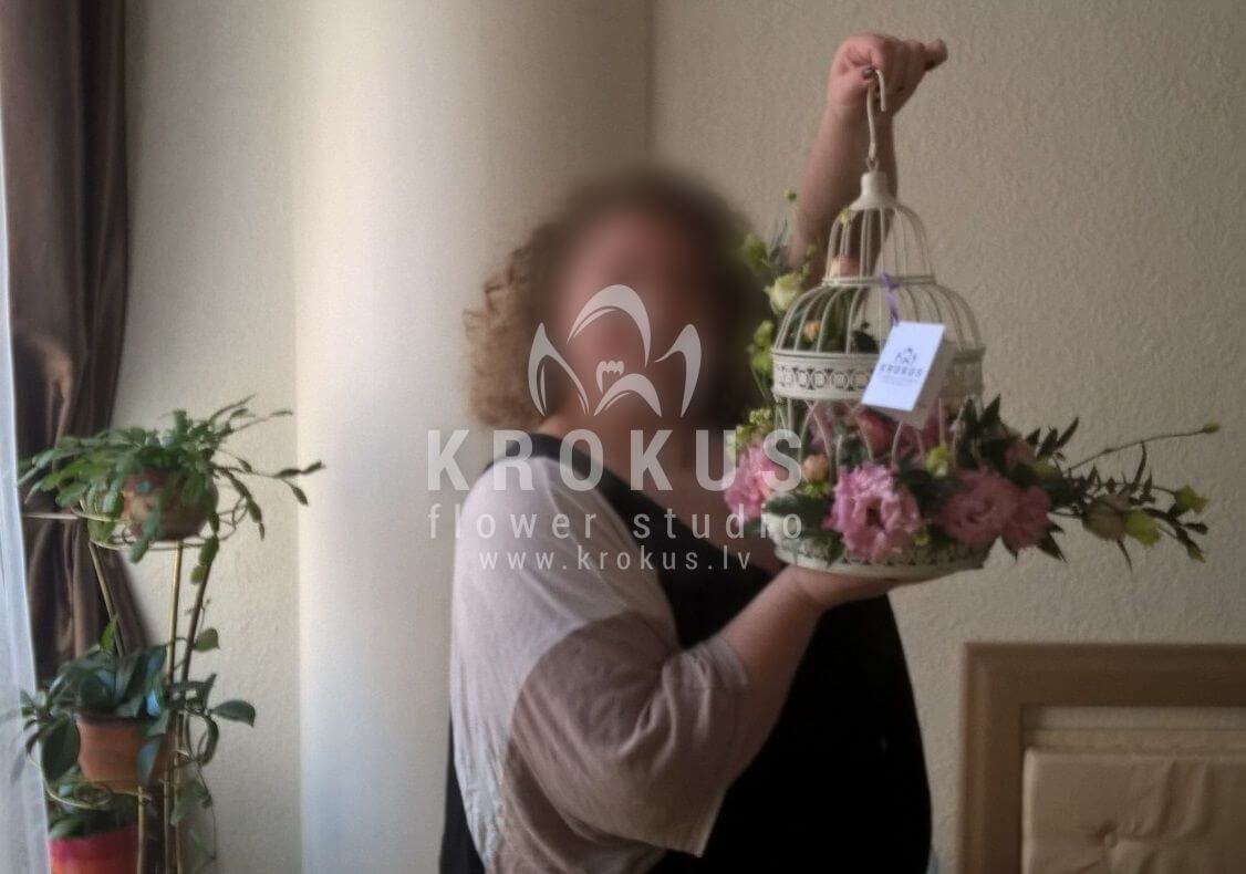 Deliver flowers to Latvia ()