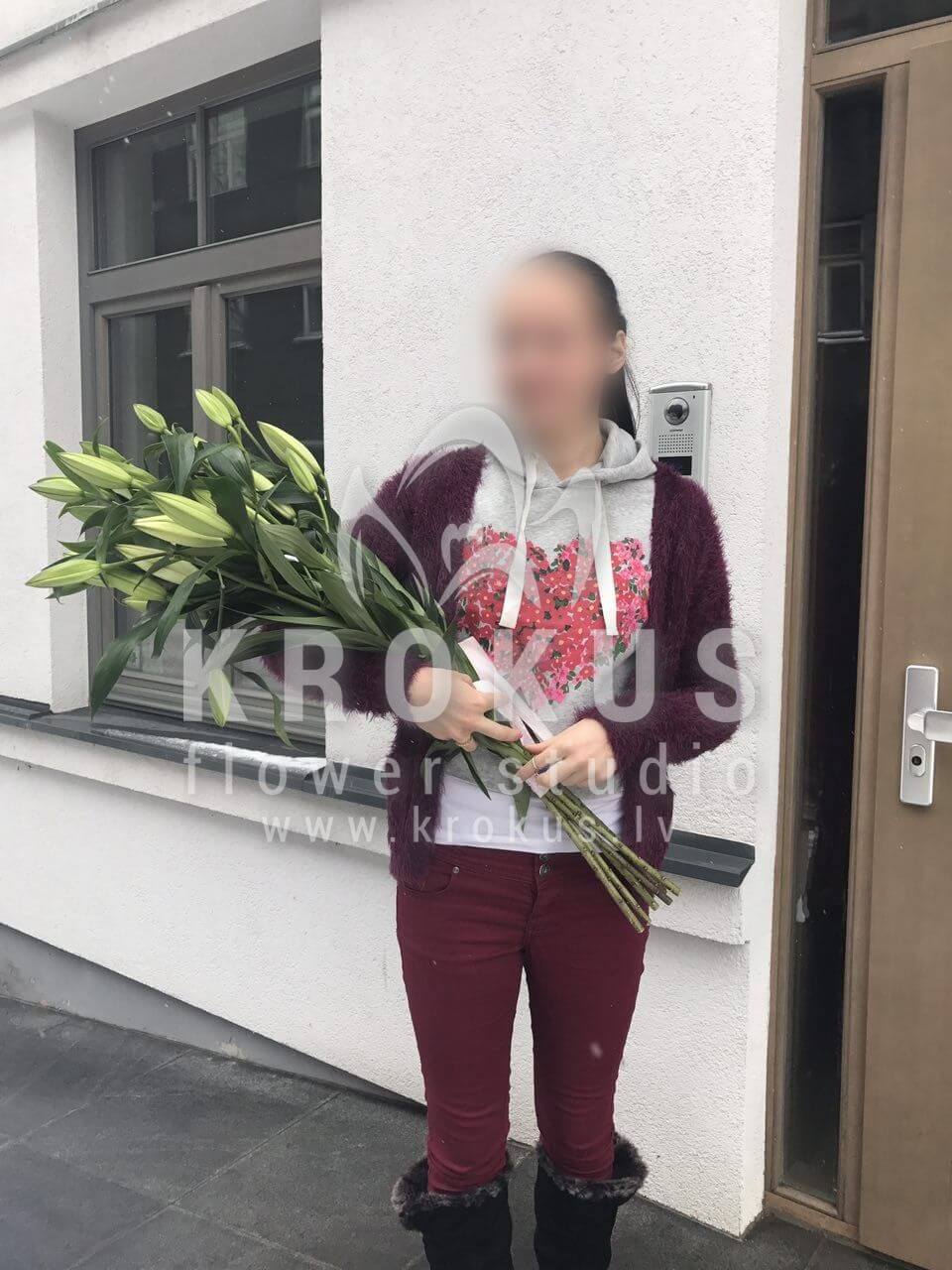 Deliver flowers to Rīga (lilies)