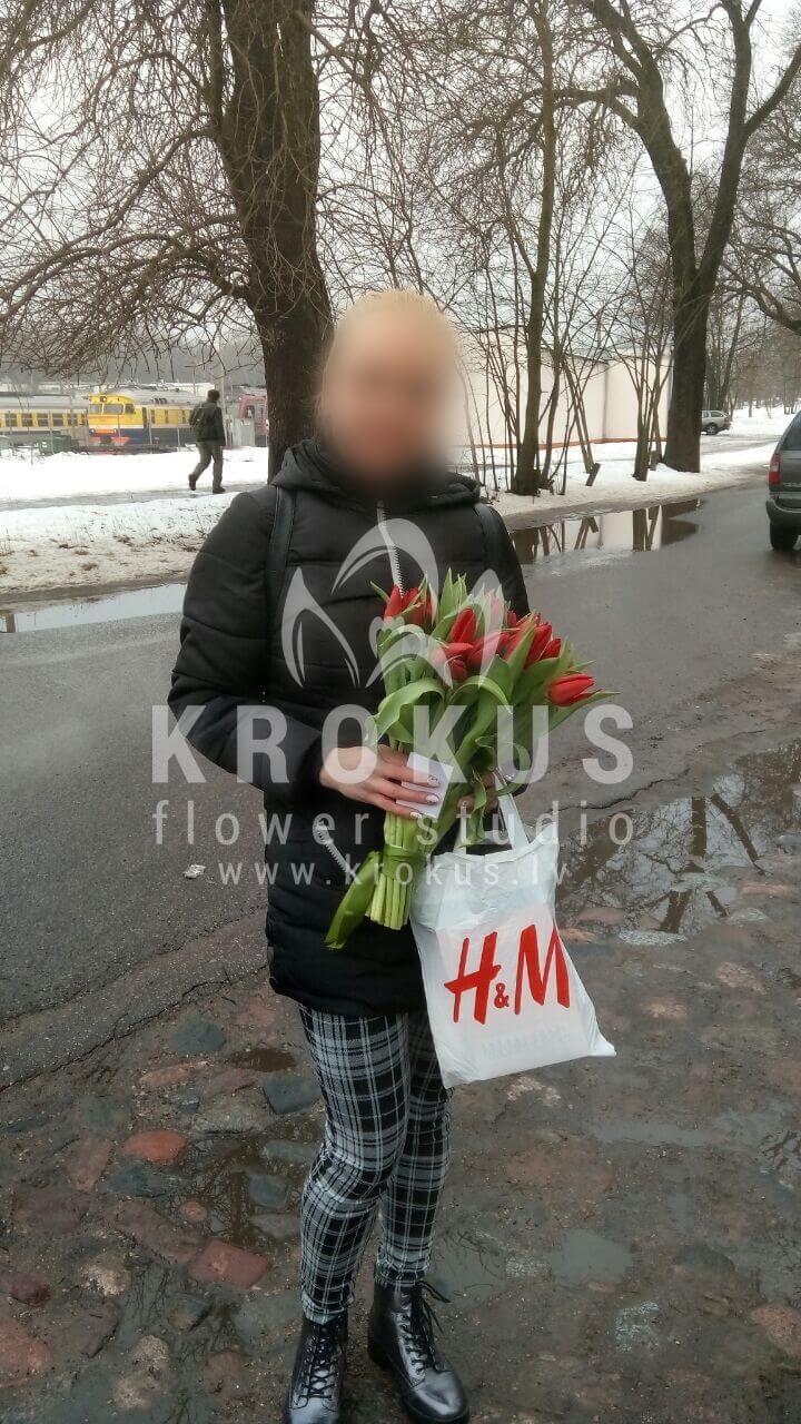 Deliver flowers to Rīga (tulips)