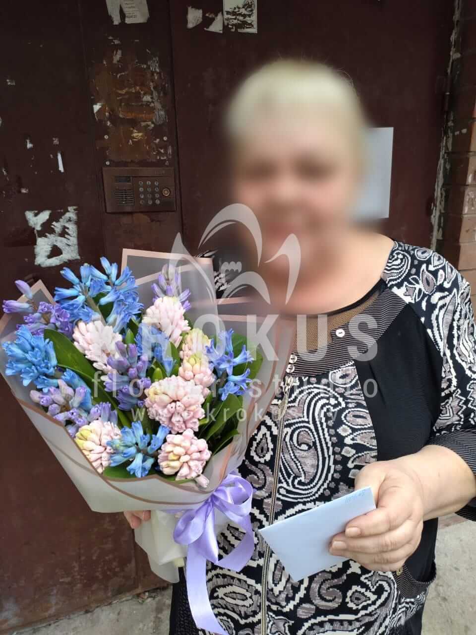 Доставка цветов в город Рига (гиацинт)