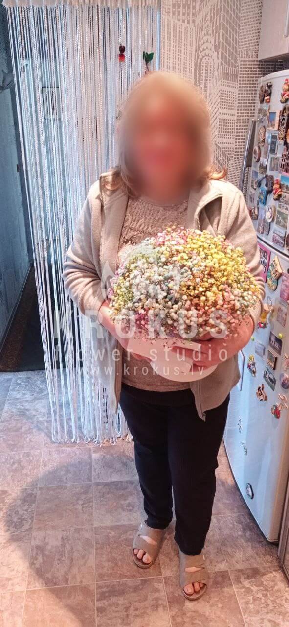 Доставка цветов в город Рига (гипсофиластильная коробка)