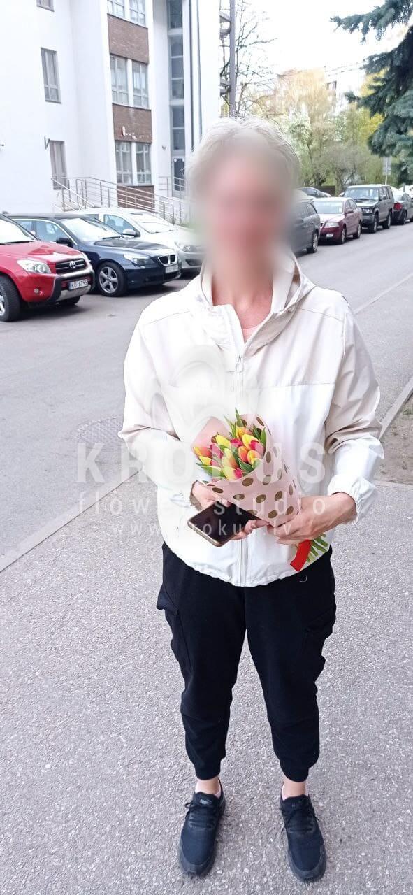 Deliver flowers to Rīga (tulips)