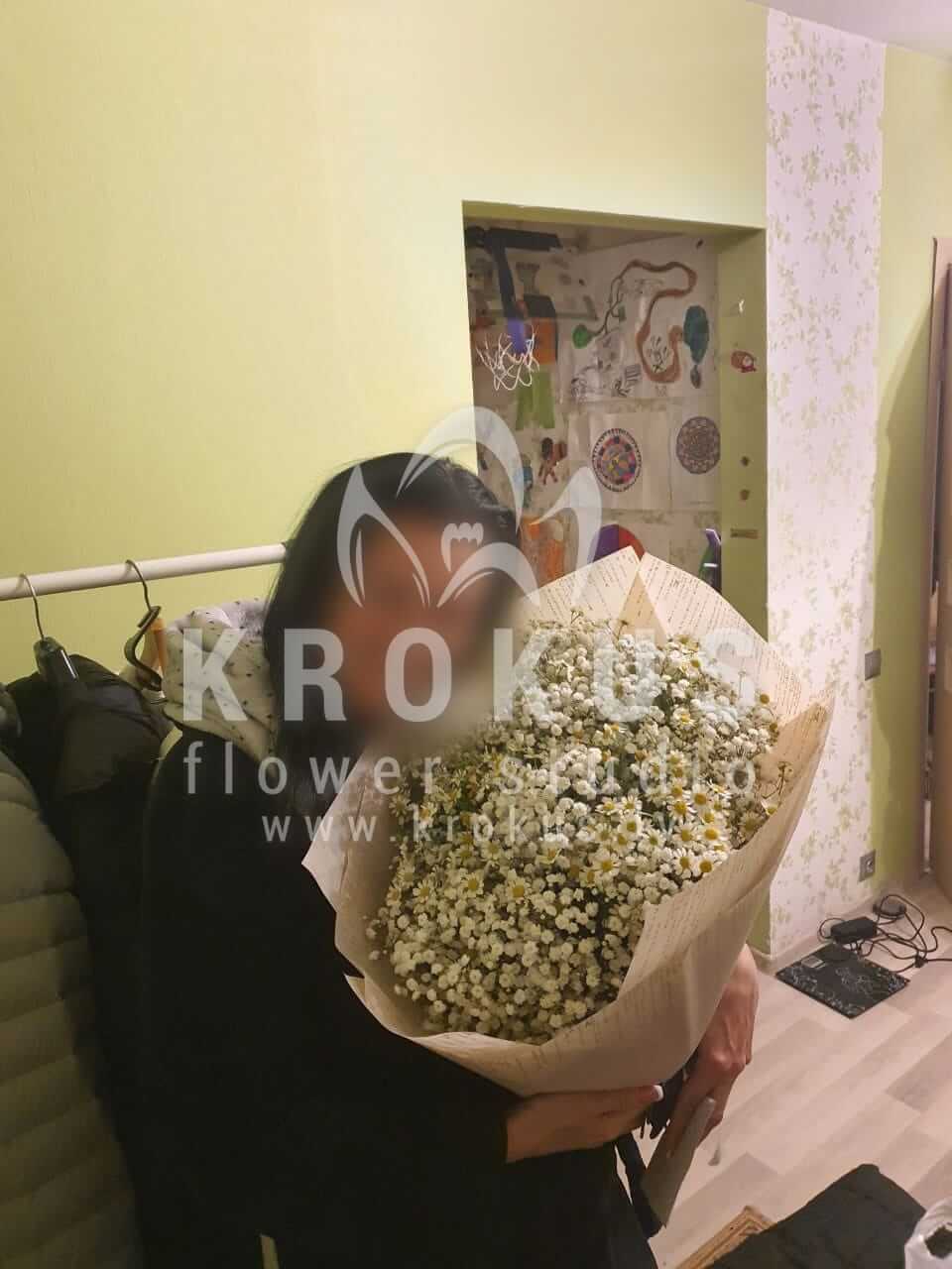 Deliver flowers to Rīga (gypsophilacamomiles)