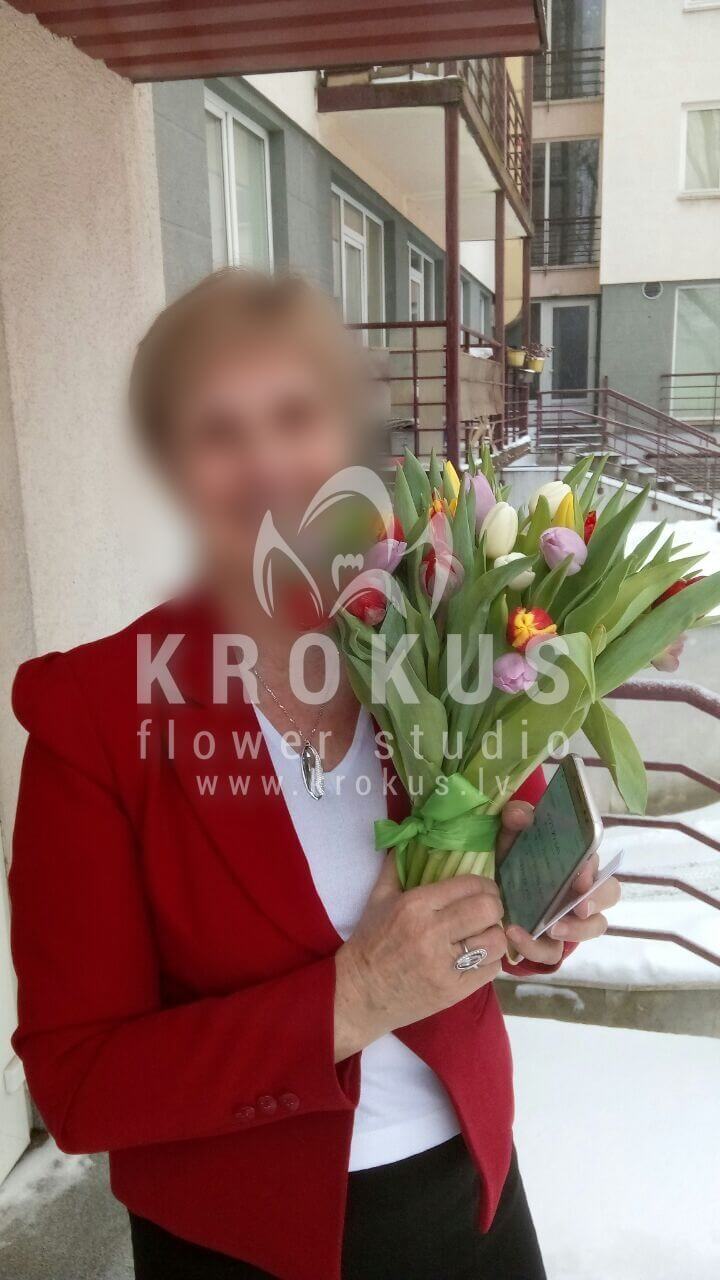 Deliver flowers to Rīga (tulips)