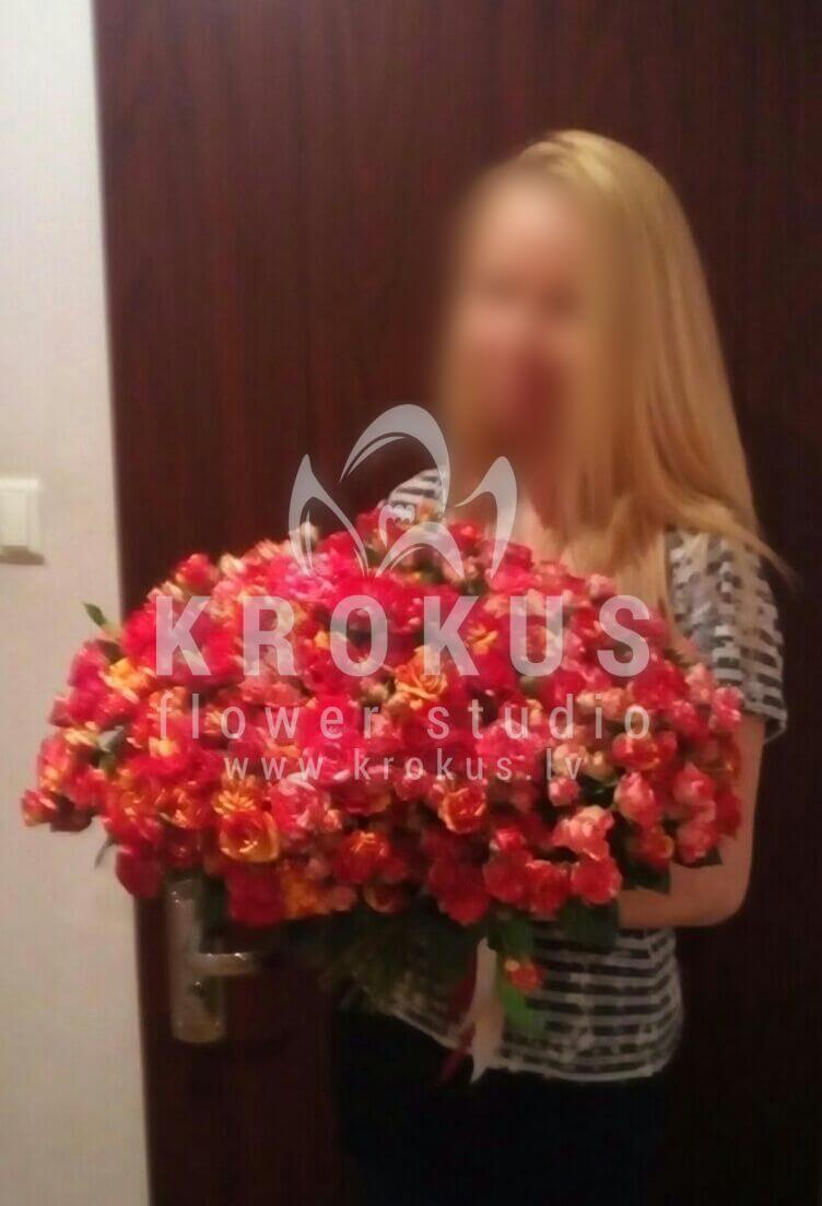 Доставка цветов в город Latvia (кустовые розы)