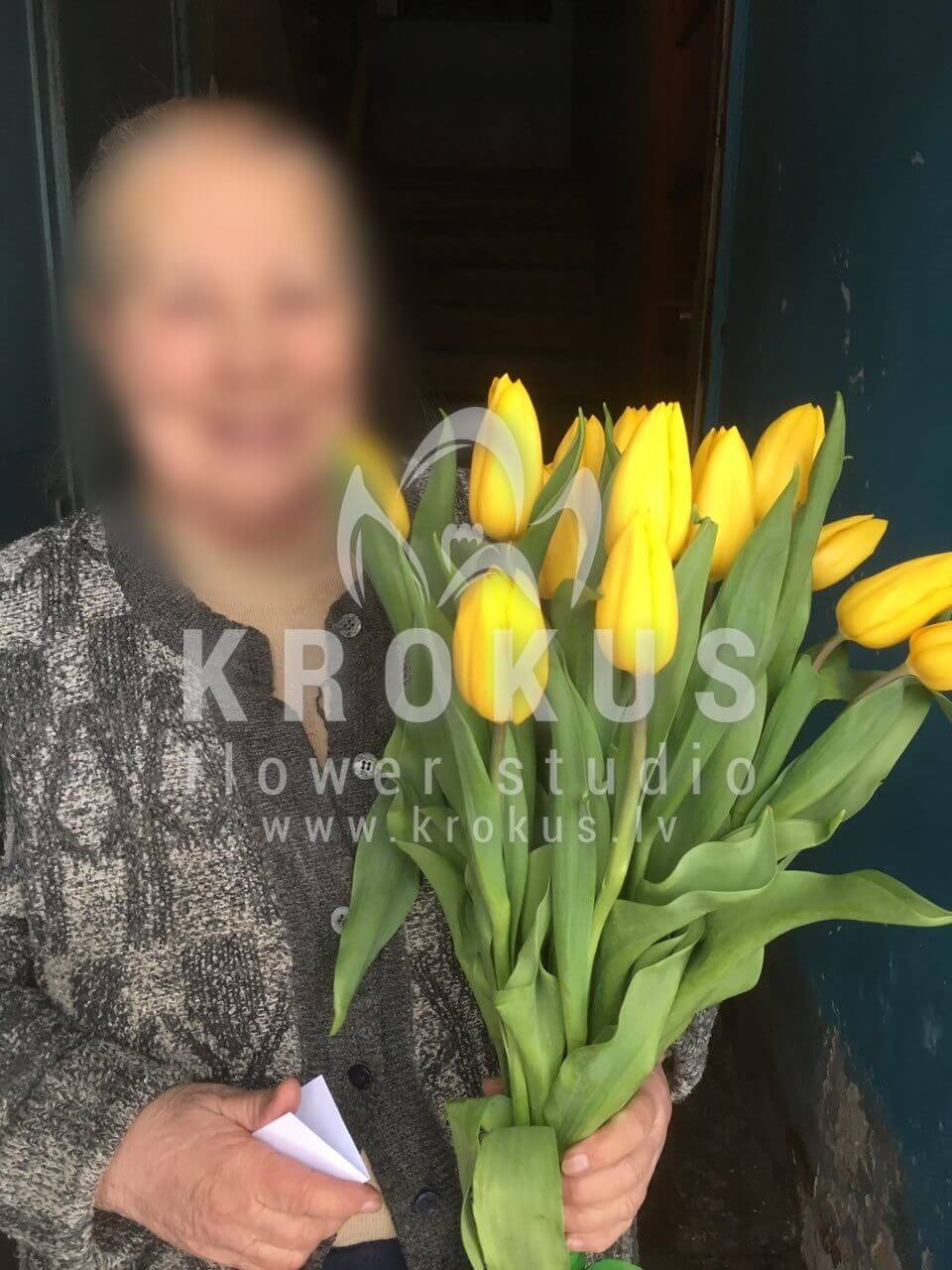 Deliver flowers to Rīga (tulips)