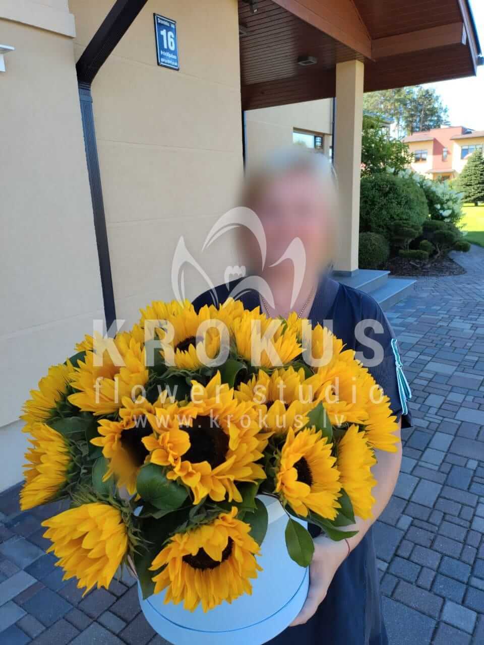 Deliver flowers to Spilve (sunflowers)