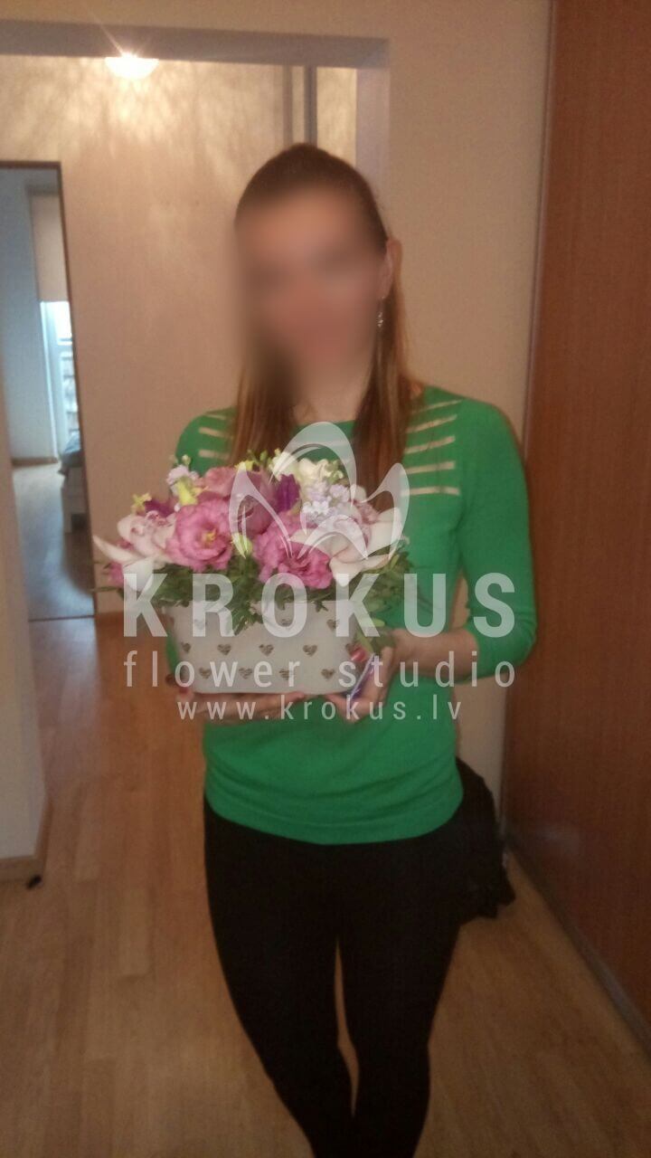 Deliver flowers to Rīga (shrub rosestulipsfreesiapistaciamatthiolaorchidsroyal tulipslisianthuses (eustoma))
