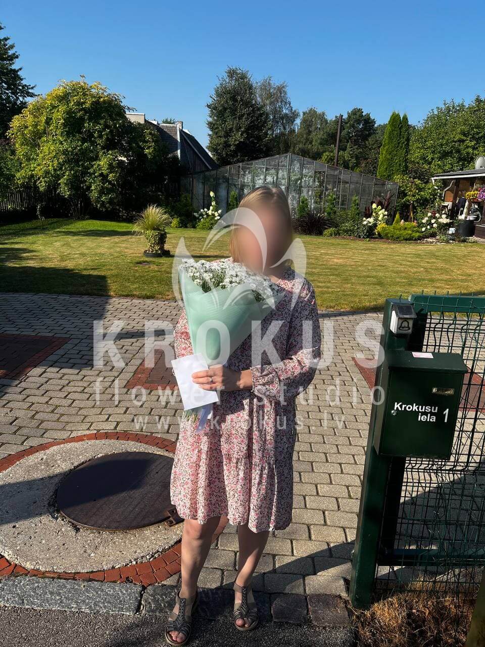 Deliver flowers to Ziedonis (camomileschrysanthemums)