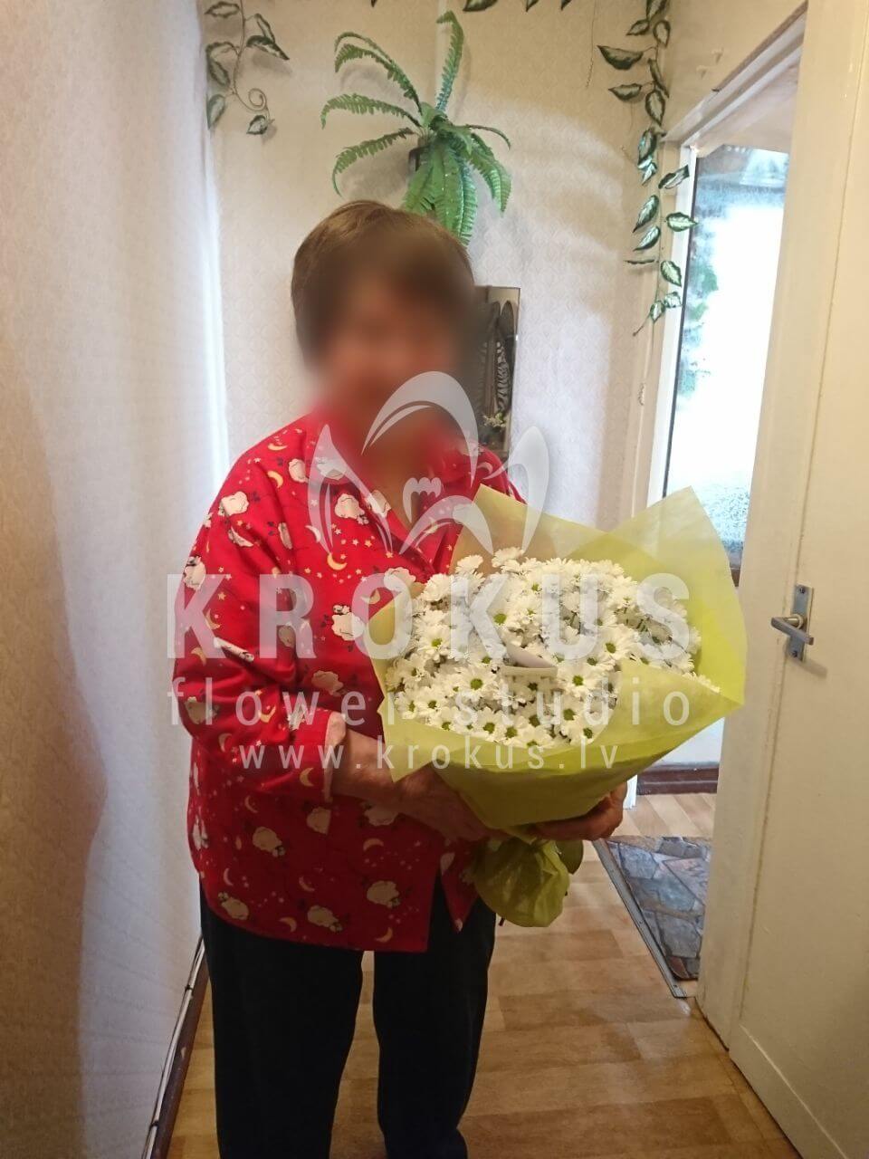 Deliver flowers to Rīga (chrysanthemumscamomiles)