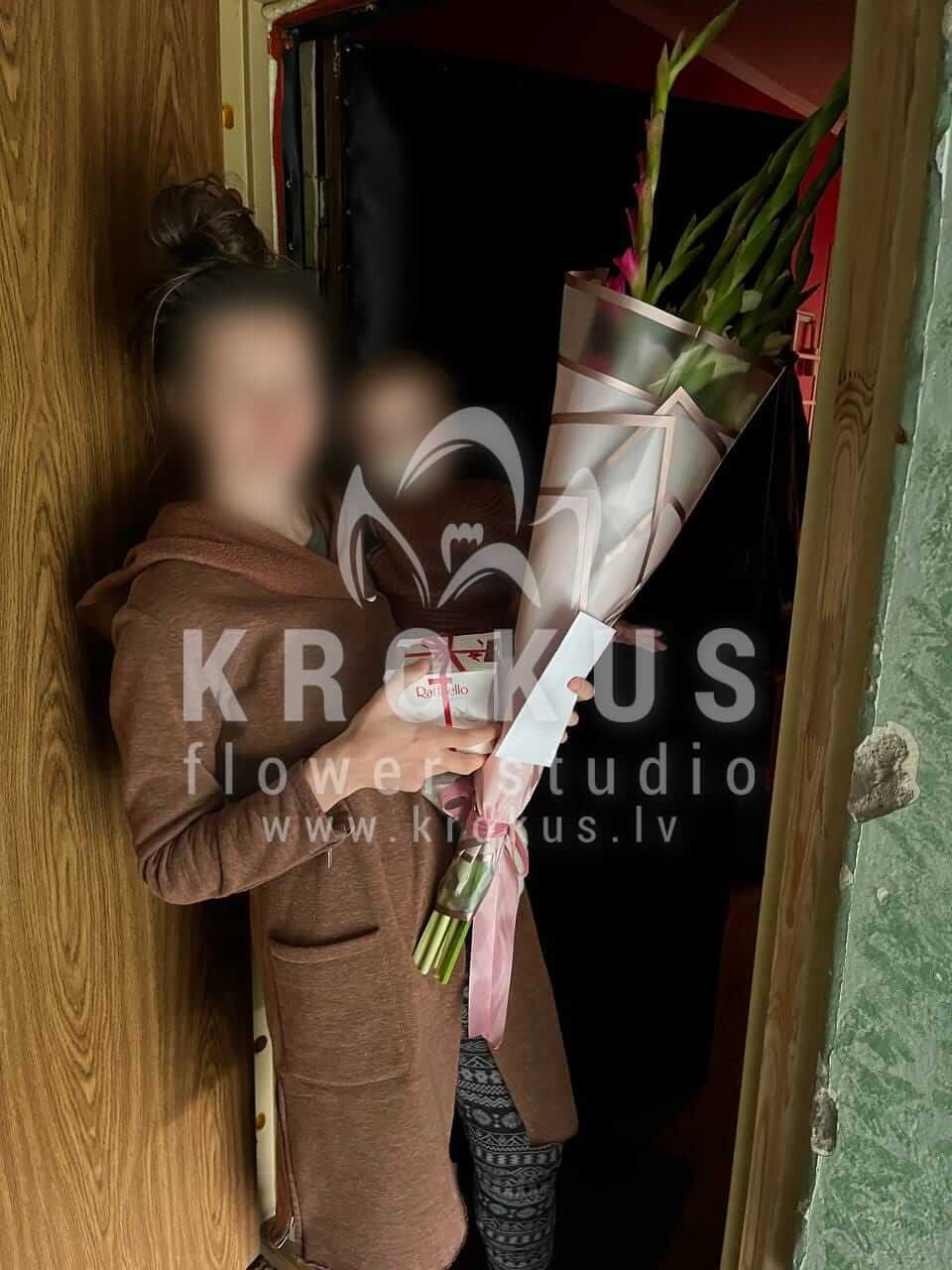 Deliver flowers to Rīga (gladioli)