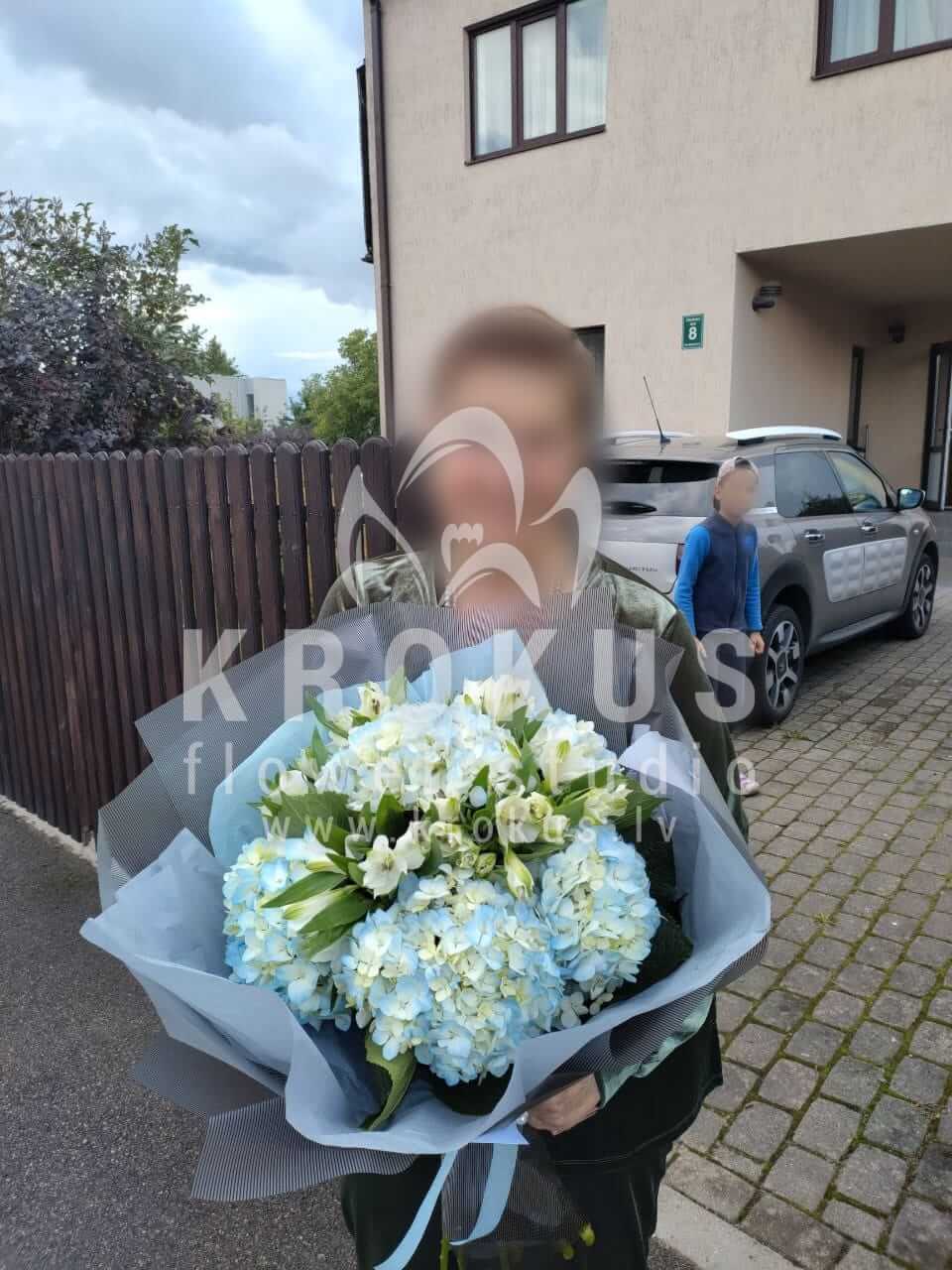 Deliver flowers to Mārupe (alstroemeriahydrangeassalal)