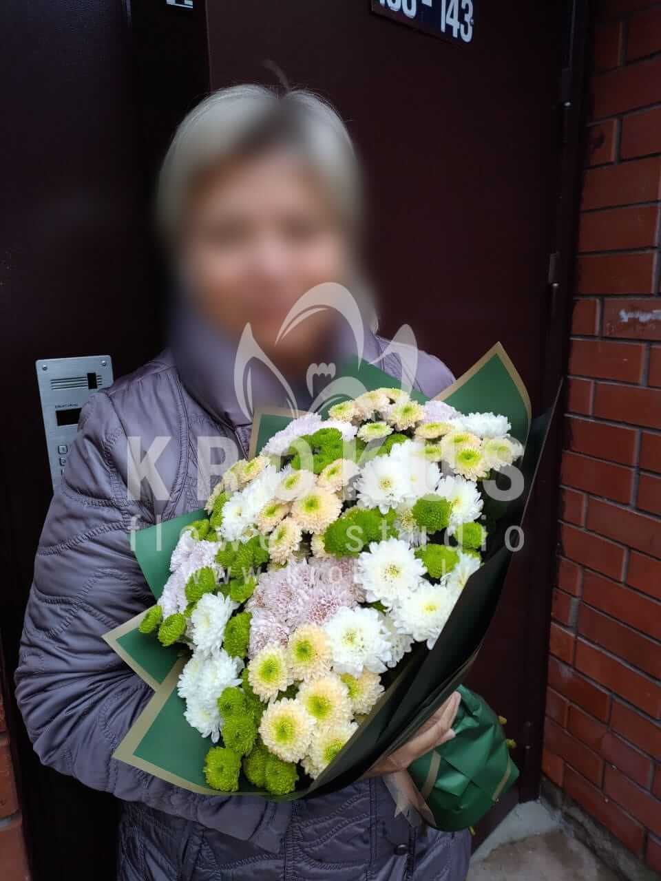 Deliver flowers to Rīga (shrub roseslotusorchidsalstroemeriapeony rosesculantrogum treeornithogalumred roses)