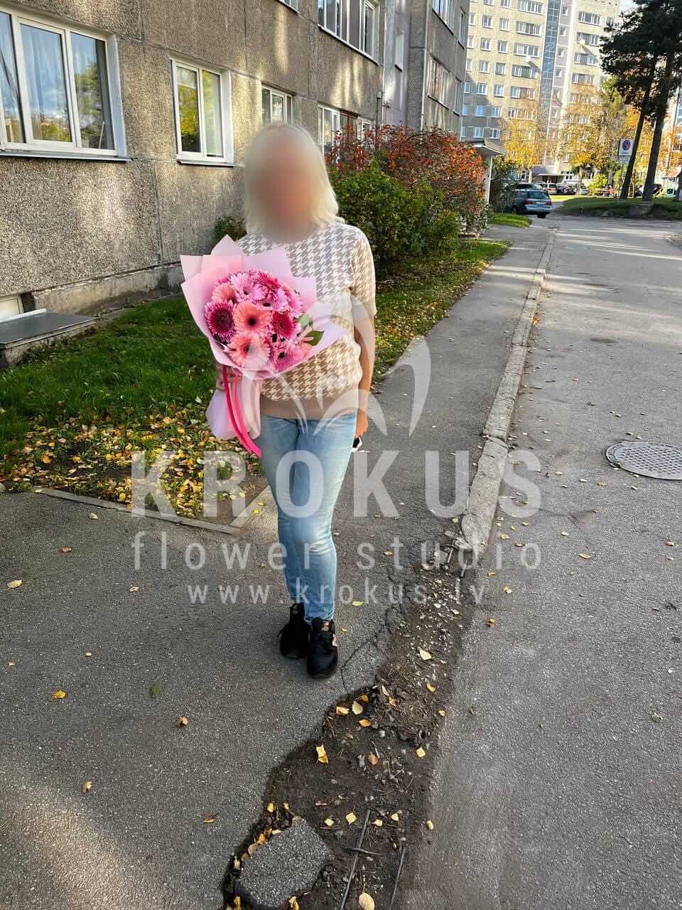 Deliver flowers to Rīga (germini)