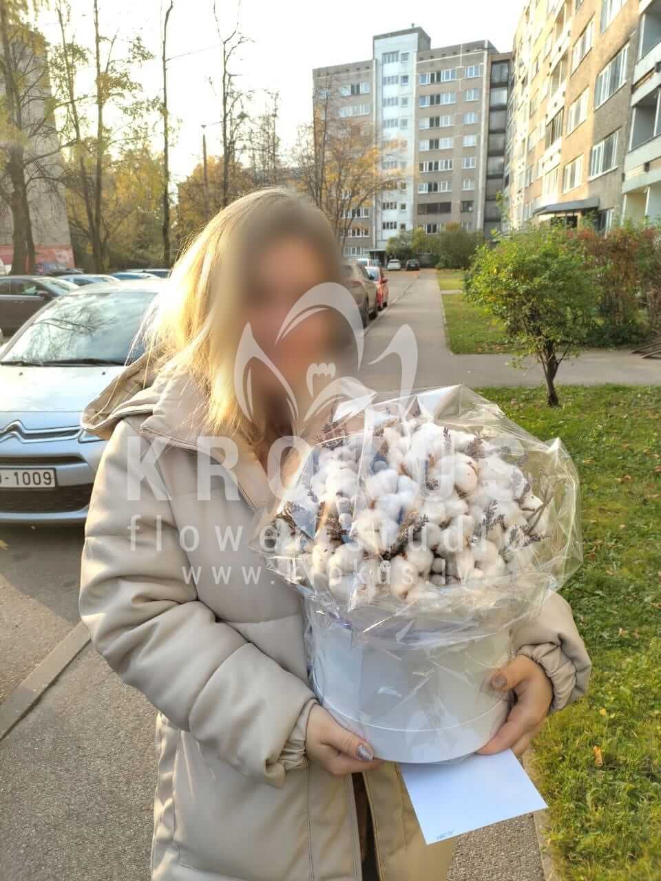 Deliver flowers to Rīga (boxbruniacottonlavender)
