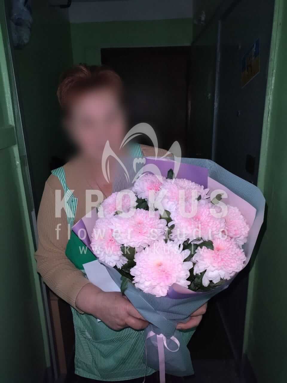 Deliver flowers to Rīga (chrysanthemums)