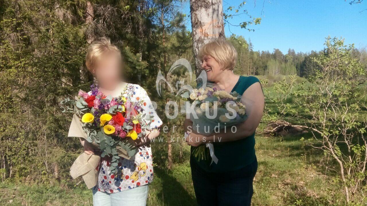 Ziedu piegāde Latvia Latvia (krūmrozesrozā rozeskallasfrēzijasoranžas rozeseikaliptsveronikaоzothamnus)