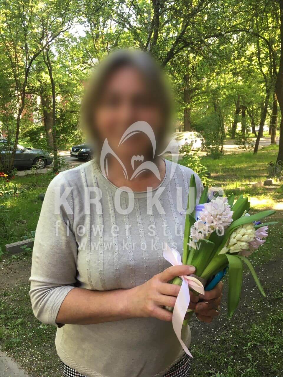 Доставка цветов в город Рига (гиацинтфисташка)