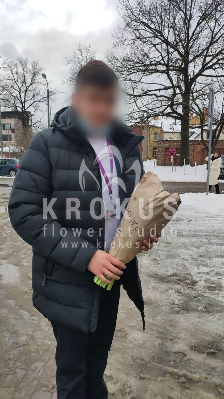 Deliver flowers to Rīga (tulips)