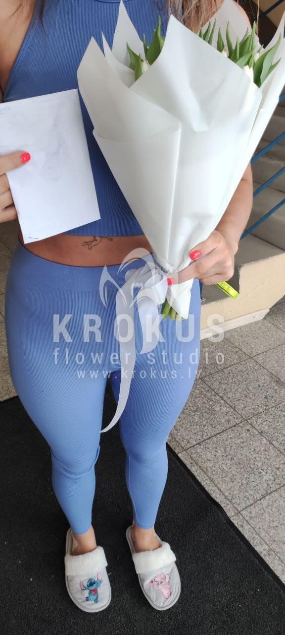 Deliver flowers to Rīga (tulips)