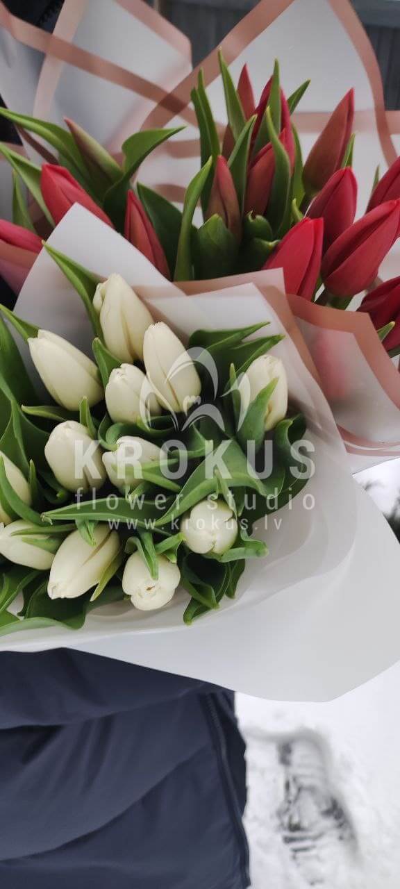 Deliver flowers to Rīga (tulips)