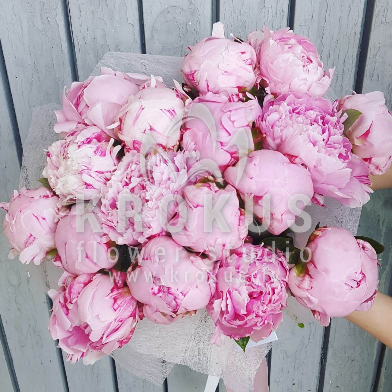 Deliver flowers to Latvia (peonies)