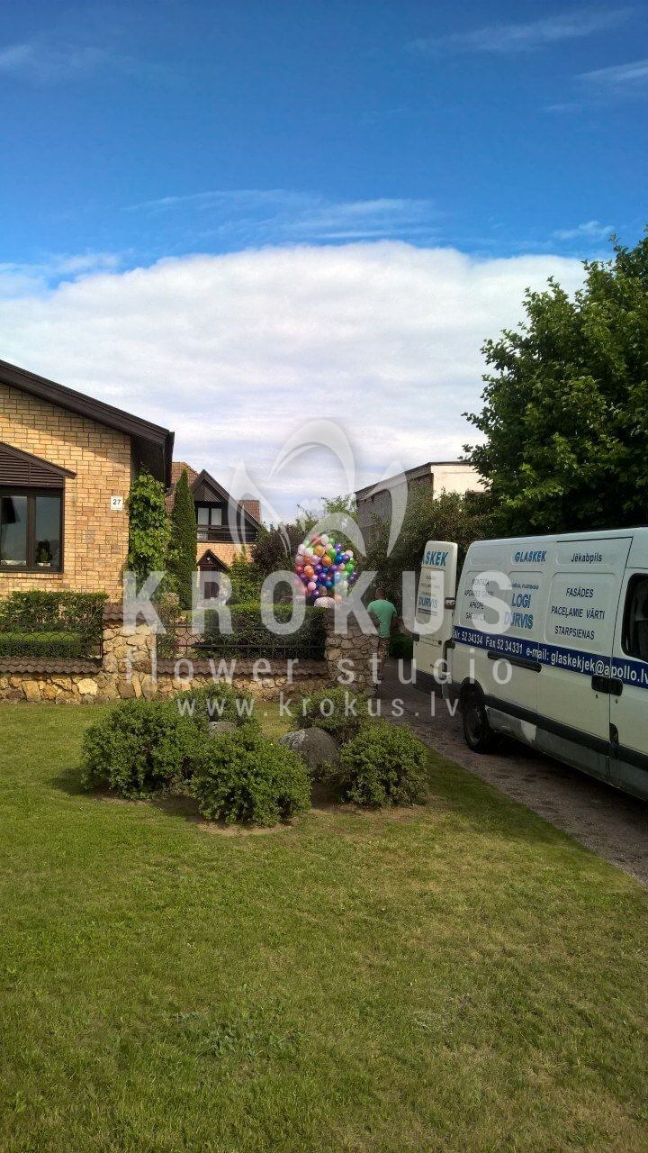 Deliver flowers to Jēkabpils ()