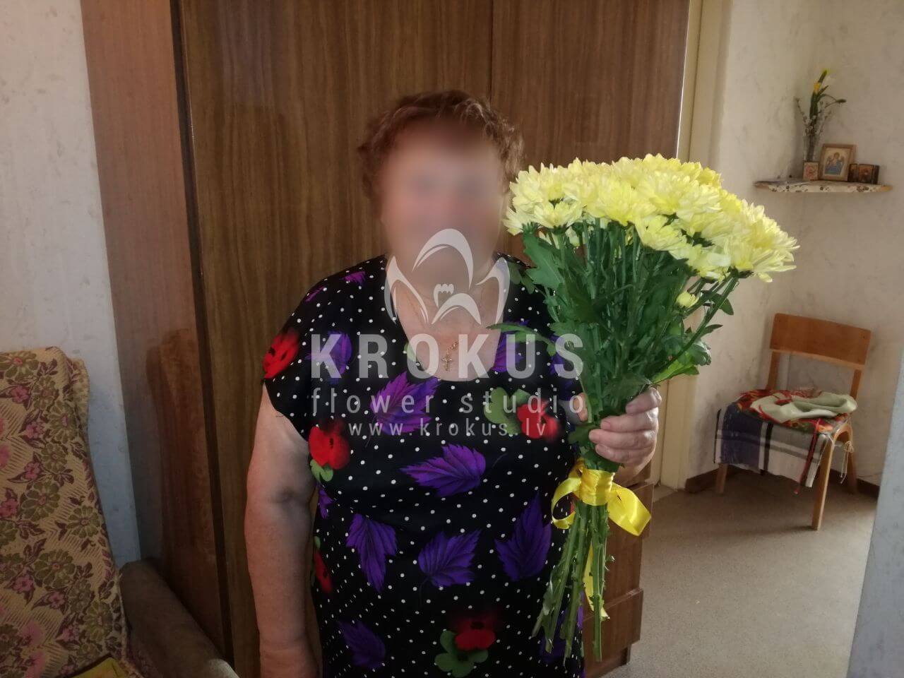 Deliver flowers to Rīga (chrysanthemums)