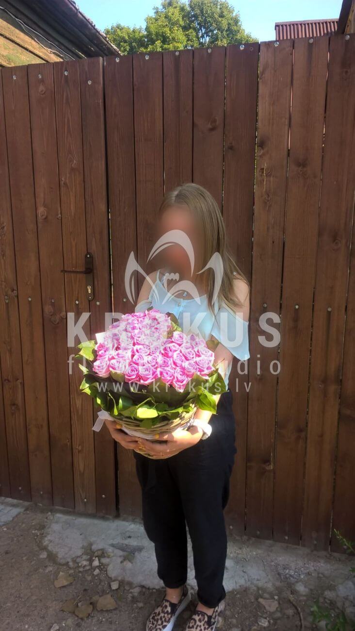 Доставка цветов в город Latvia (розовые розыберграсс
салаласпидистра)