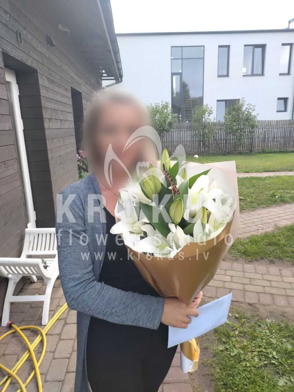 Доставка цветов в город Рига (лилии)