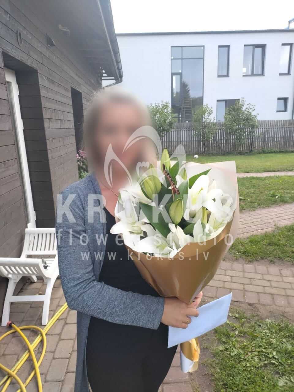 Deliver flowers to Rīga (lilies)