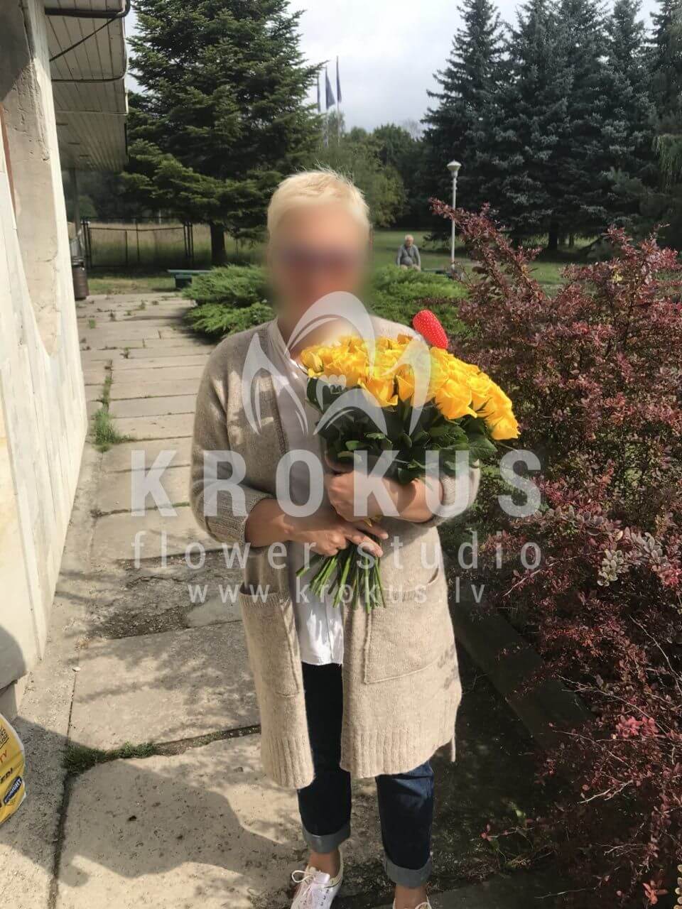 Deliver flowers to Rīga (yellow roses)