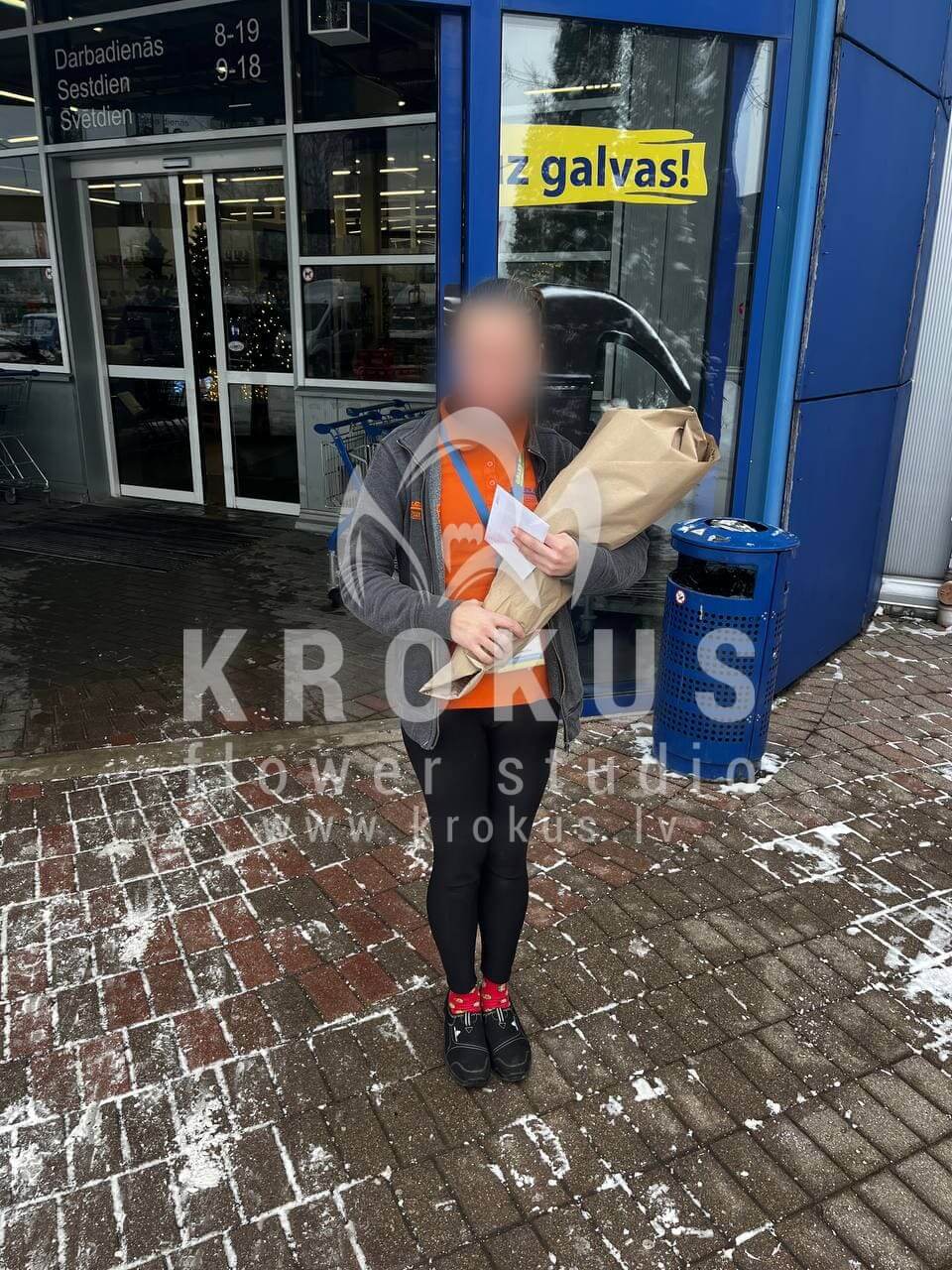 Deliver flowers to Sigulda (red roses)