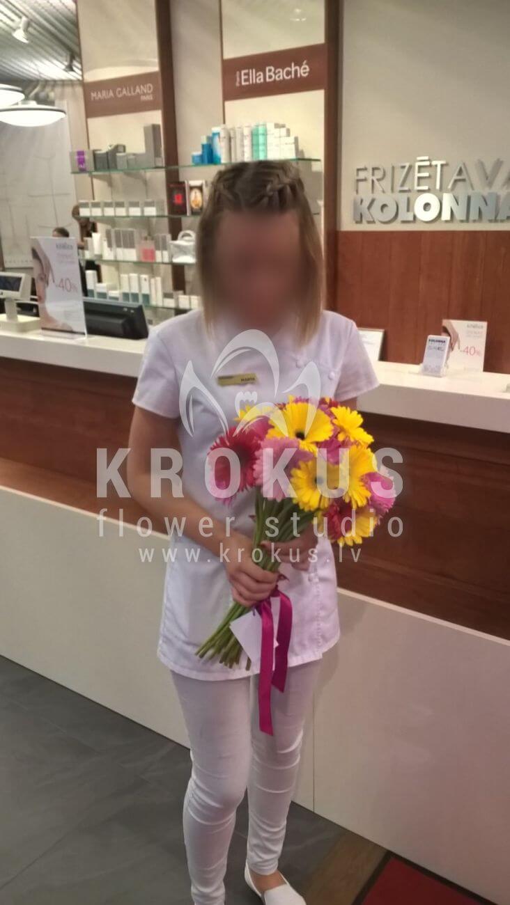 Deliver flowers to Latvia (germini)