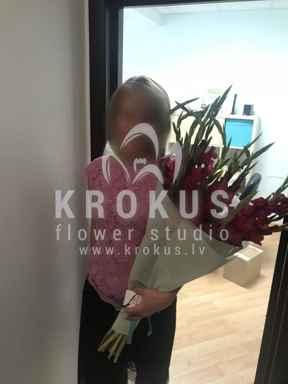 Deliver flowers to Rīga (gladioli)