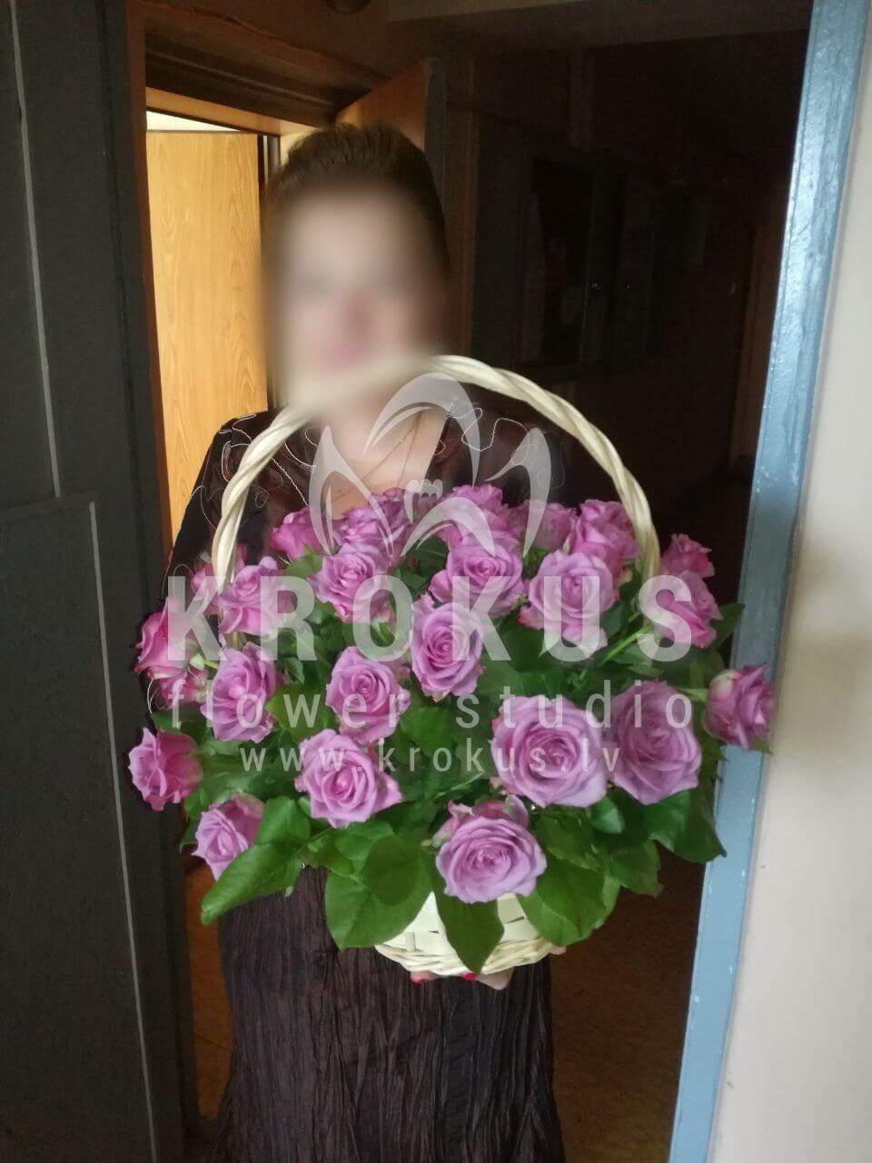 Доставка цветов в город Рига (двухцветные розы)
