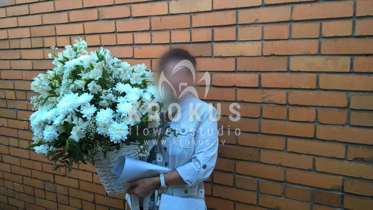 Доставка цветов в город Latvia (маттиолаальстромериялигуструм
антирринумхризантемыэвкалиптсалал)