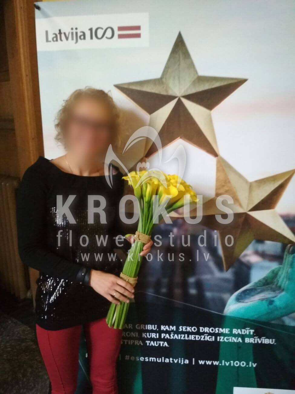 Доставка цветов в город Рига (каллы)