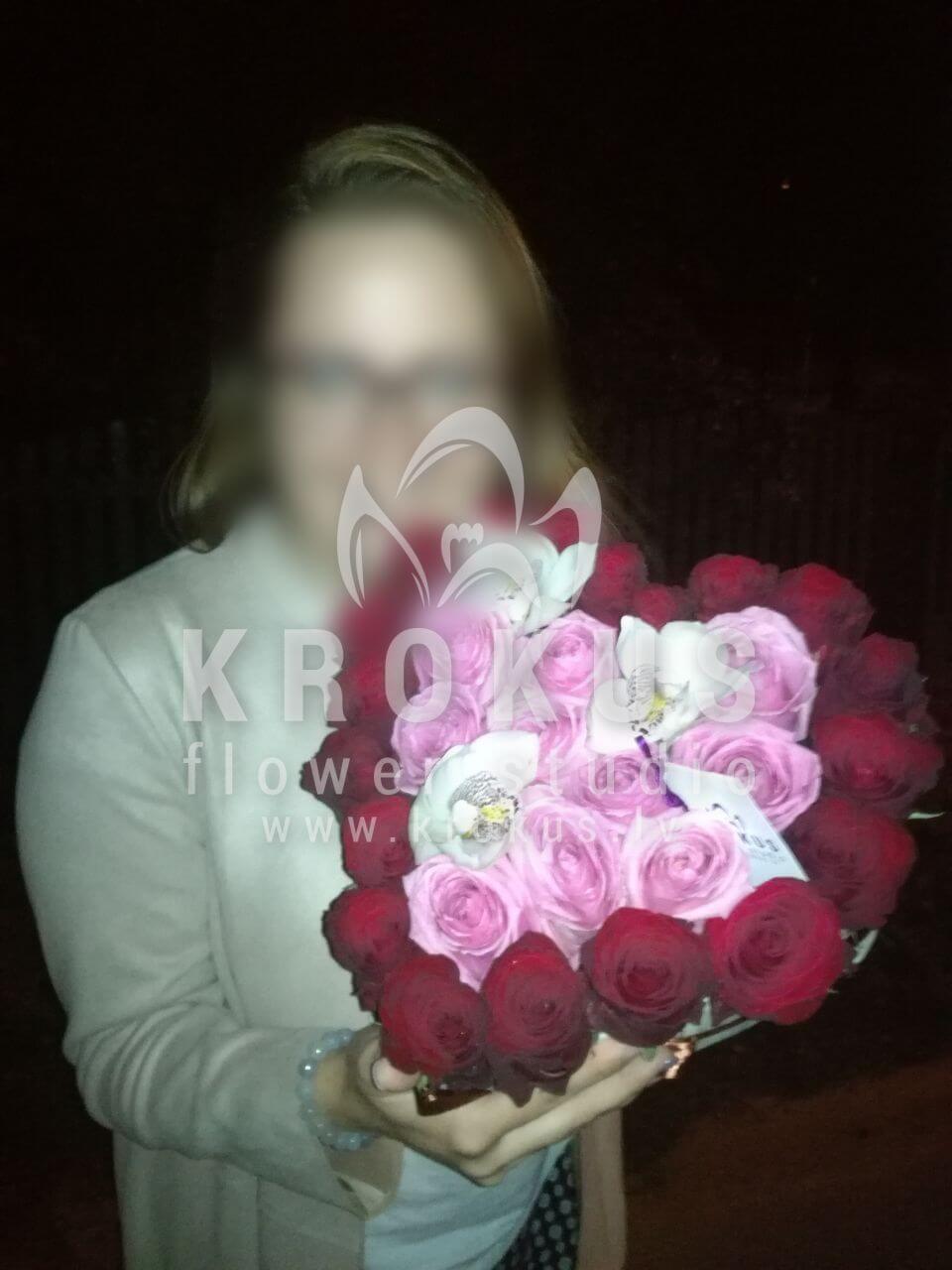 Доставка цветов в город Tukums (розовые розыорхидеикрасные розы)