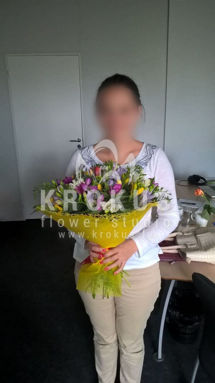 Deliver flowers to Latvia (freesiaamborella)