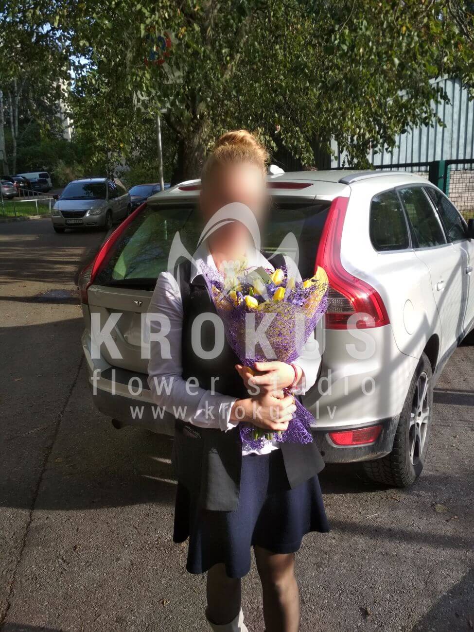 Deliver flowers to Rīga (tulipsirises)