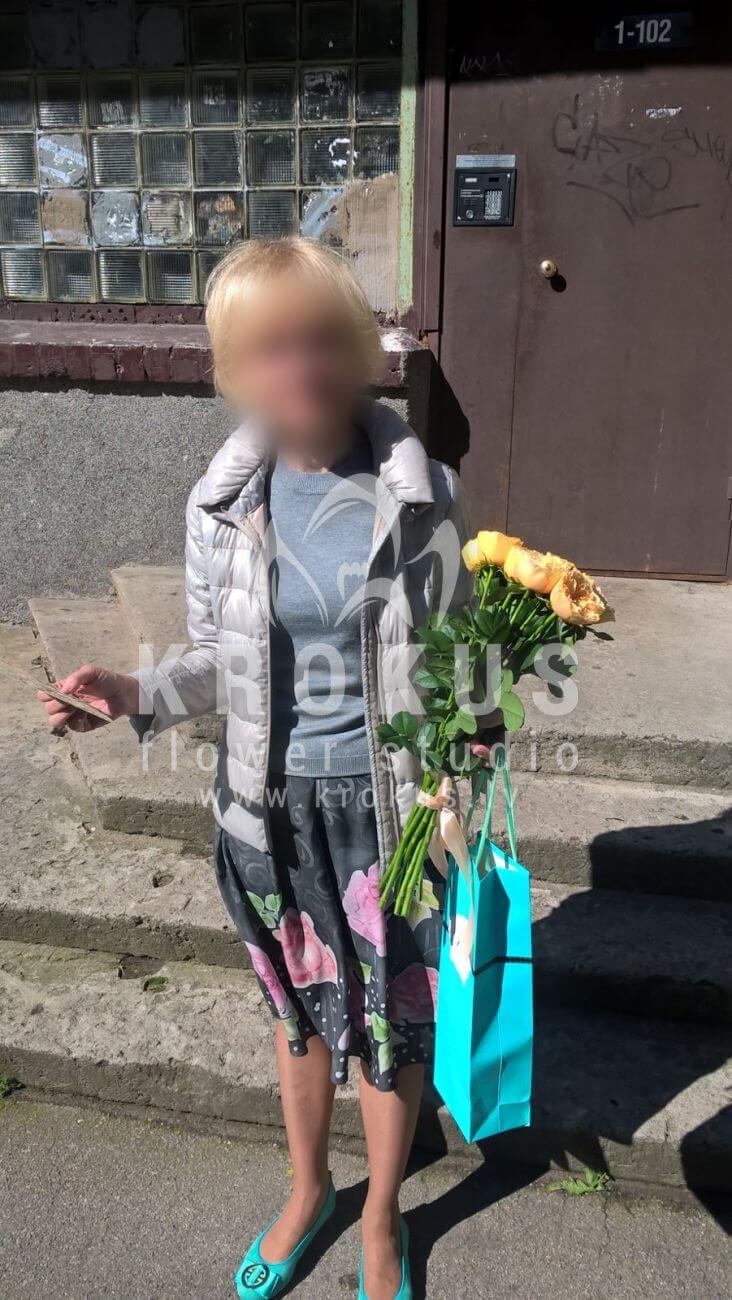 Ziedu piegāde Latvia Latvia (saulespuķesmargrietiņas oxypetalum)