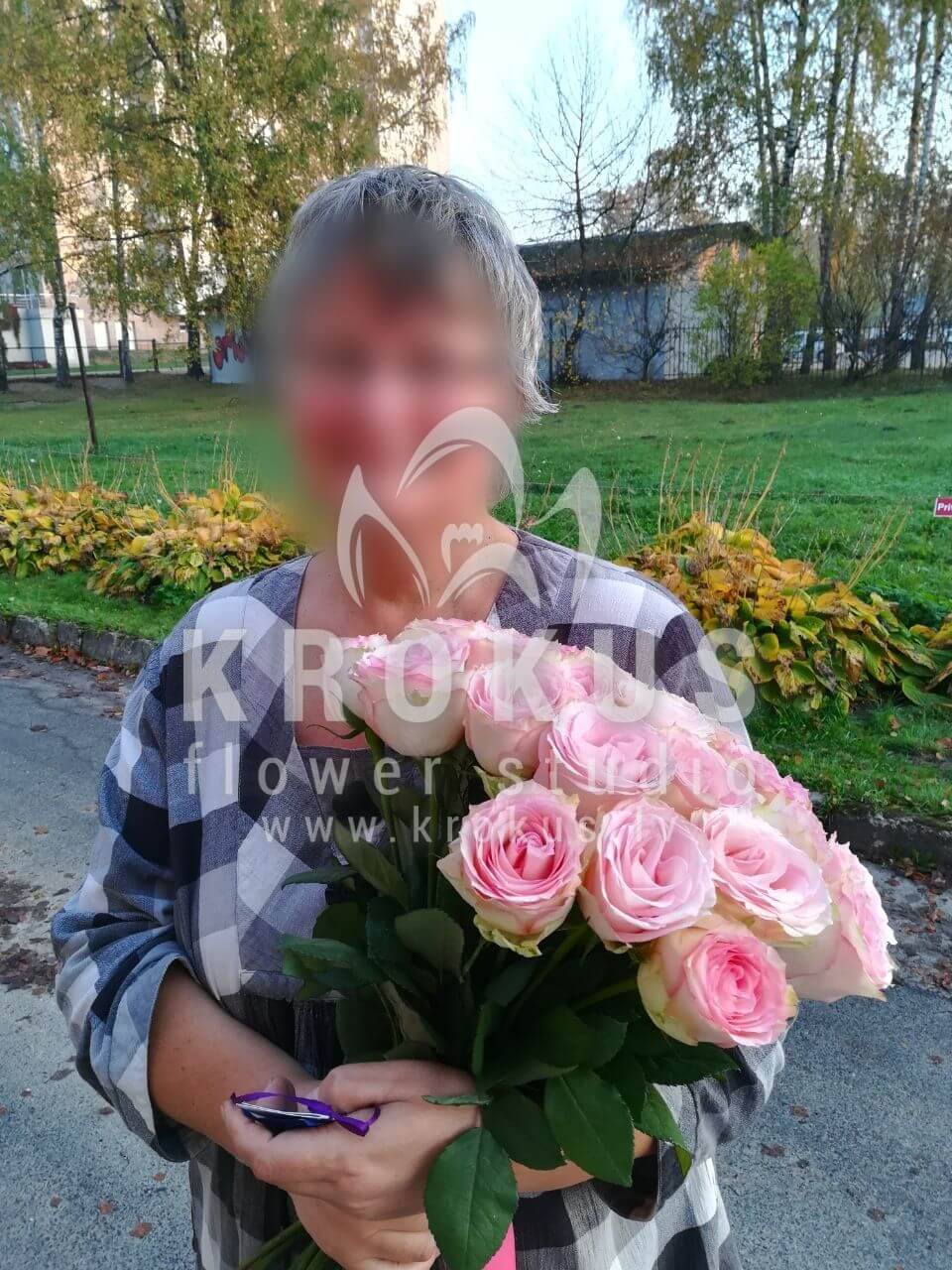 Deliver flowers to Rīga (pink roses)