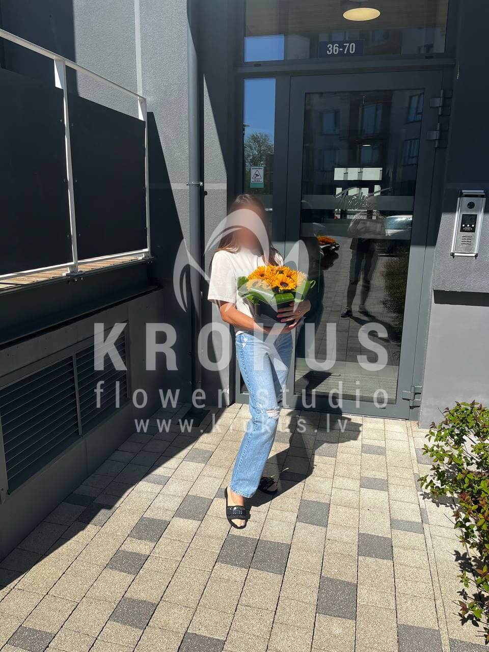 Deliver flowers to Rīga (sunflowersaspidistra)
