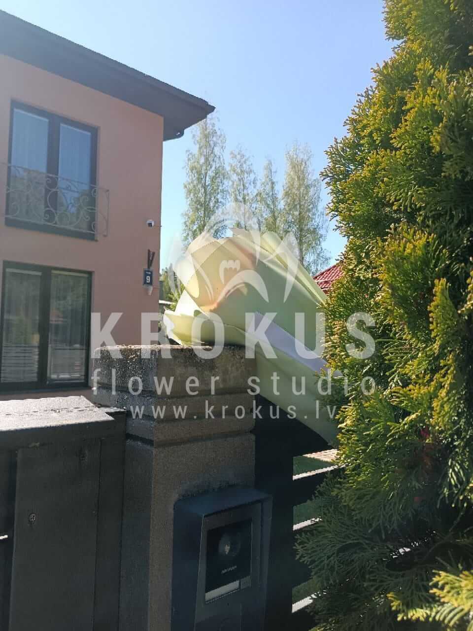 Deliver flowers to Spilve (bicolor roses)