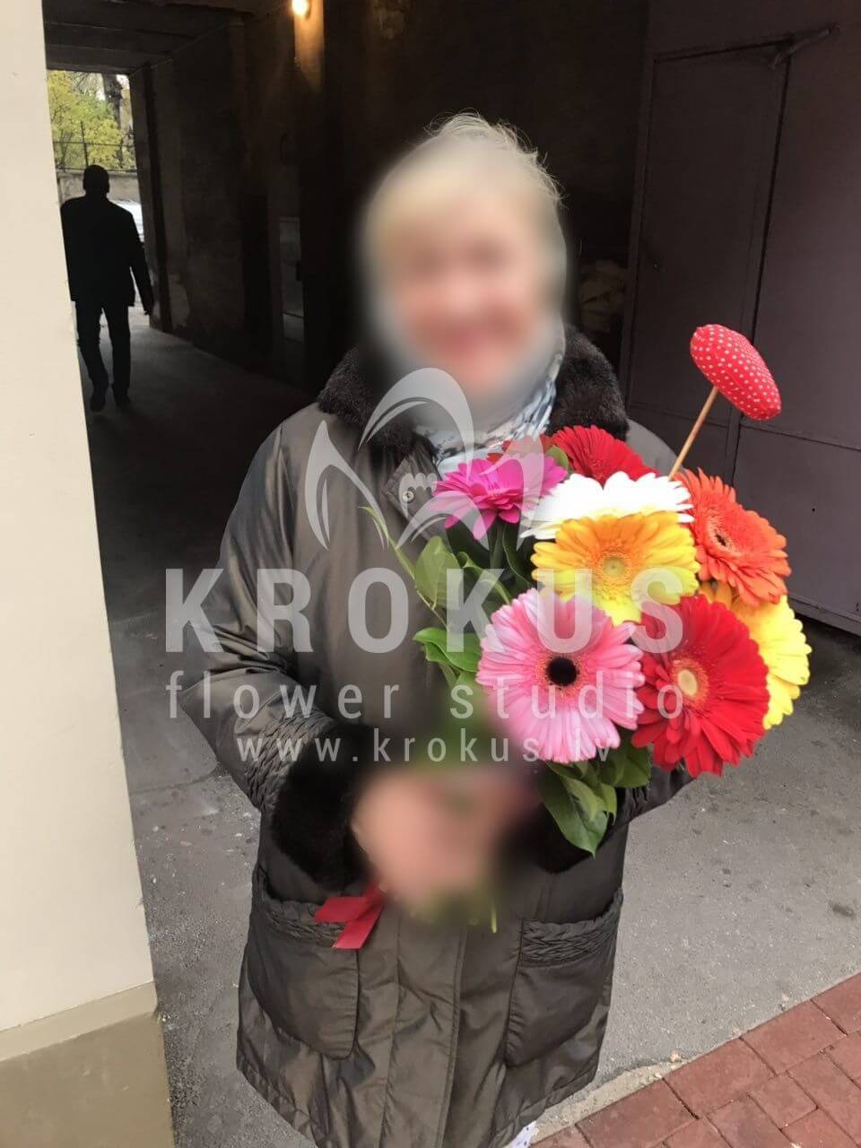 Доставка цветов в город Рига (салалгерберы)